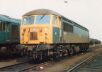 Click HERE for full size picture of 56061